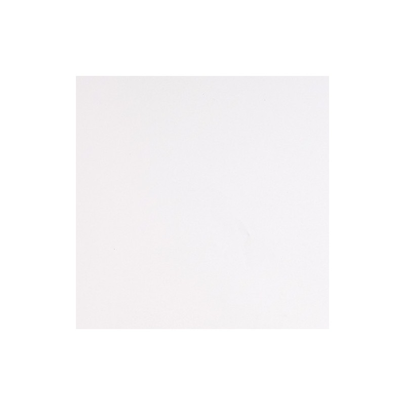 HXS5001M - Blanc Polaire Mat